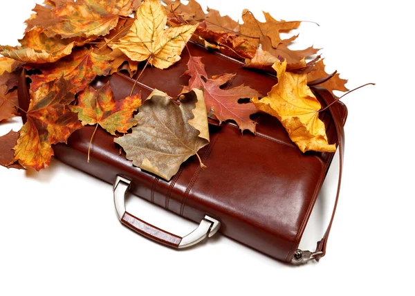 Brown Leather Briefcase Autumn Dry Leaves Isolated White Background — Stock Photo, Image