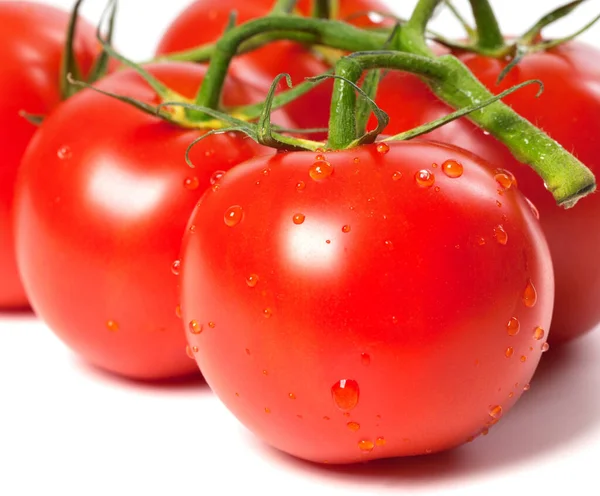 Ripe Wet Tomato Water Drops White Background — Stock Photo, Image