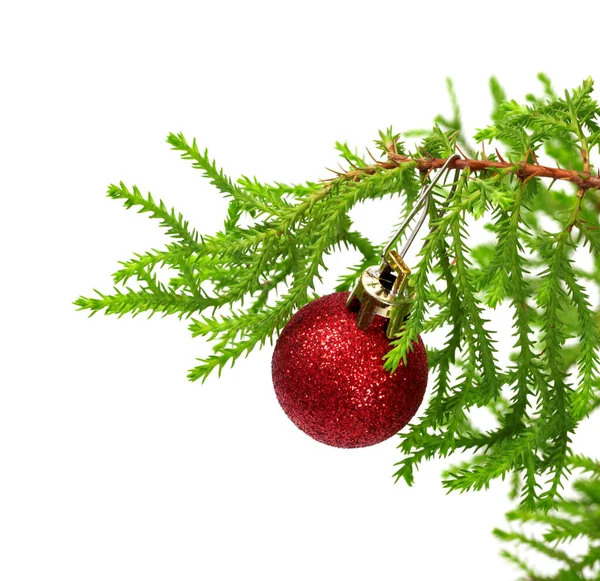 Tak Van Decoratieve Dennenboom Met Rode Kerstboom Bal Geïsoleerd Witte — Stockfoto