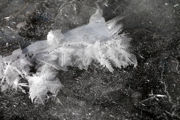 Flocon Neige Sur Glace Rivière Gelée Soleil Jour Hiver — Photo