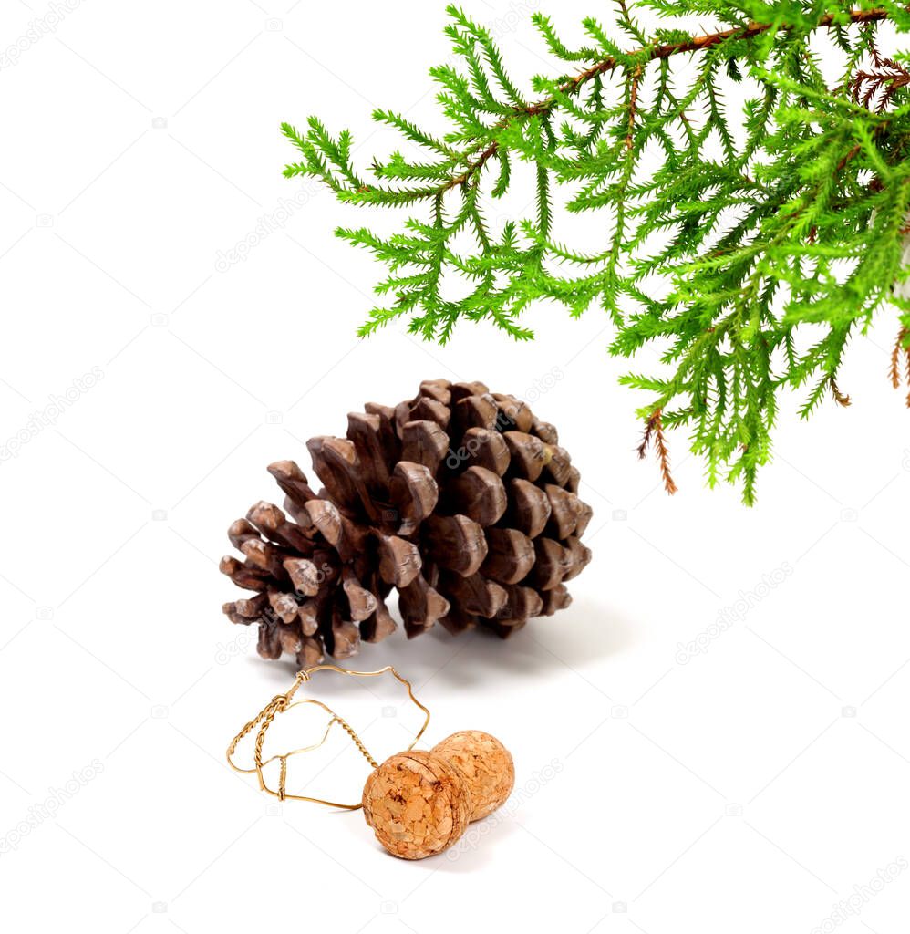 Branch of decorative home Christmas-tree, big pine cone and champagne wine cork with muselet. After New Year celebration. Isolated on white background. 