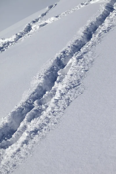 Priorità bassa della pista da sci fuori pista con neve nuovo-caduta — Foto Stock