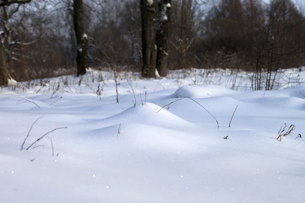Schneewehe im Winterwald — Stockfoto