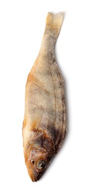 Beyaz arka plan üzerinde izole stockfish