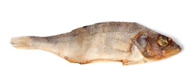 Beyaz arka plan üzerinde izole güneşte kurutulmuş roach