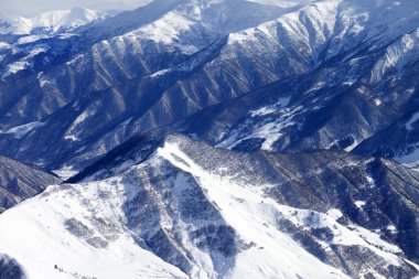 Orman ile karlı Dağları üzerinde Üstten Görünüm