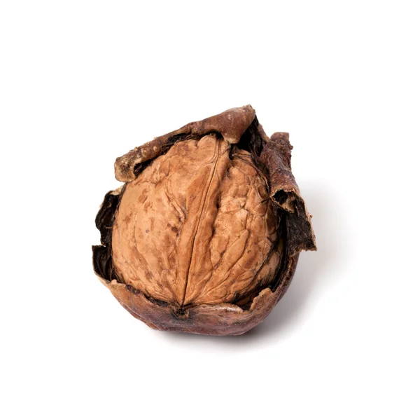 Surová ořech na bílém pozadí — Stock fotografie