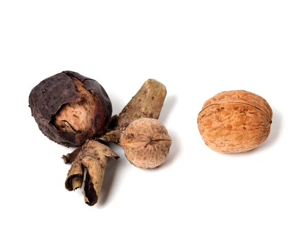 Three walnuts on white background — Stock Photo, Image