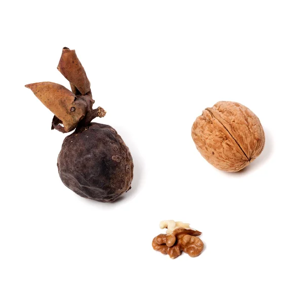 Walnuts — Stock Photo, Image