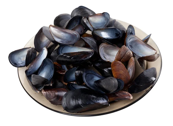 Shells of mussels on glass plate — Stock Photo, Image