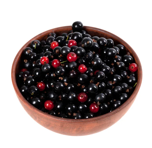 Blackcurrants ve redcurrants seramik kase — Stok fotoğraf