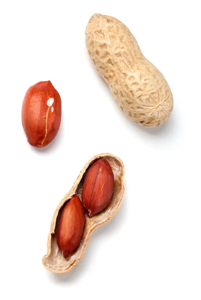 Cacahuètes sur fond blanc — Photo