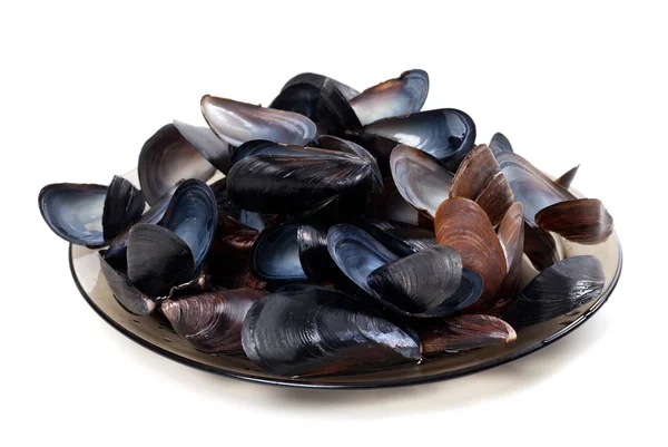 Coquilles de moules sur la plaque de verre — Photo