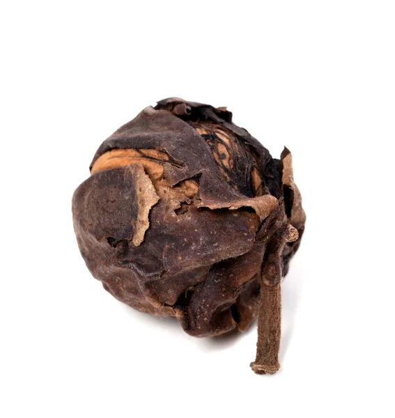 Raw walnut just a tree — Stock Photo, Image