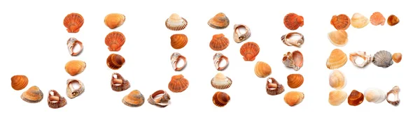J U N E szöveg álló tengeri kagylókból — Stock Fotó
