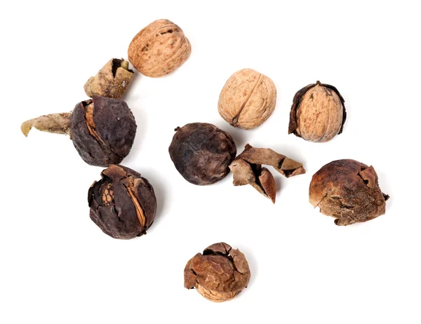 Crude walnuts — Stock Photo, Image