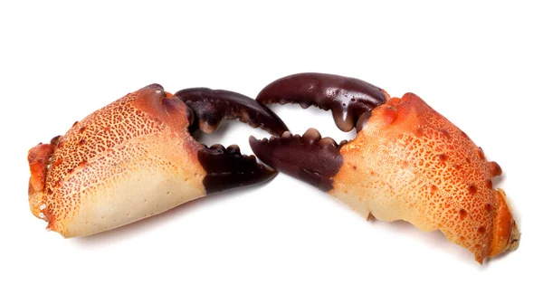 Twee gekookte tangen van krab — Stockfoto