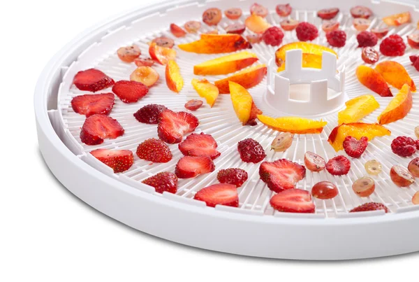 Slices of berries and fruits on dehydrator tray — Stock fotografie