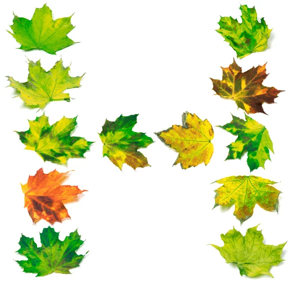 Letter H composed of multicolor maple leafs — Stock Photo, Image