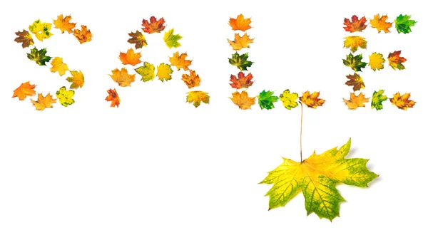 Autumn maple-leaf and word S A L E — Stock Photo, Image