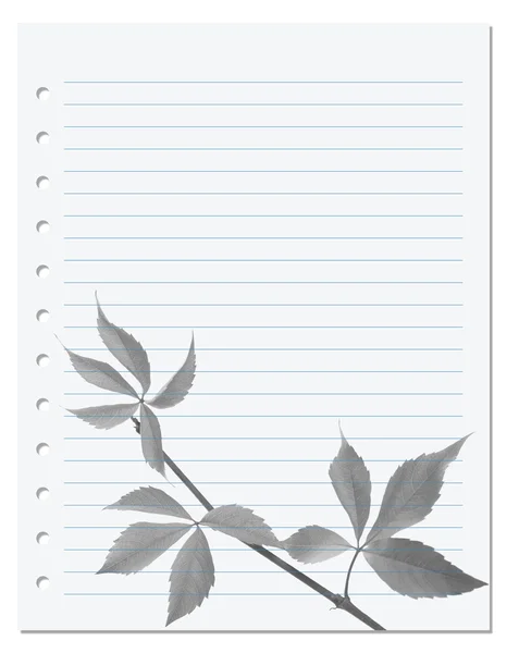 Exercise book with black-white virginia creeper leaf — Stock Photo, Image