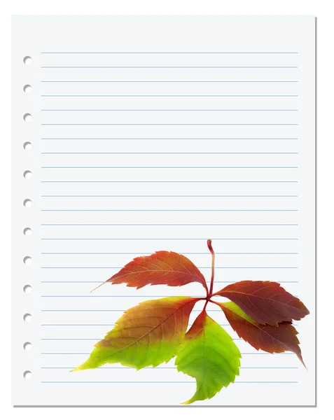 Exercise book with multicolor virginia creeper leaf — Stock Photo, Image