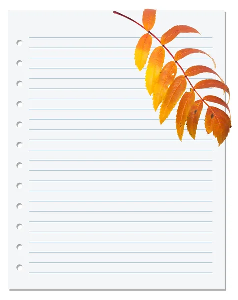 Notebook paper with autumn leaf of rowan — Stock Photo, Image