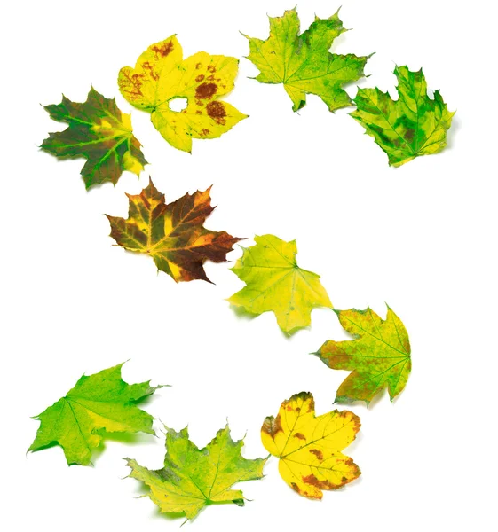 Γράμμα S αποτελείται από σφένδαμνο πολύχρωμα φύλλα — Φωτογραφία Αρχείου