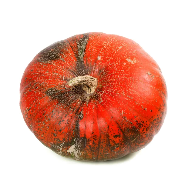 Red ripe pumpkin — Stock Photo, Image