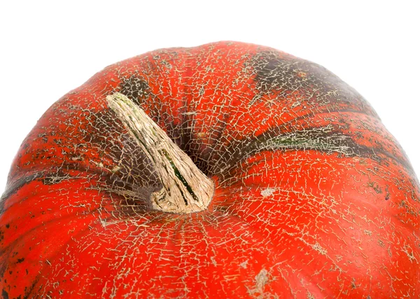 Parte de la calabaza aislada sobre fondo blanco — Foto de Stock