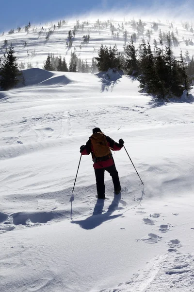 Viandante in montagne di inverno soleggiato giorno ventoso — Foto Stock