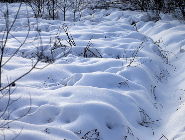 Snowbound winter meadow — Stock Photo, Image