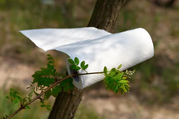 Paper towel roll waving in the wind in forest at sun day — Stock Photo, Image