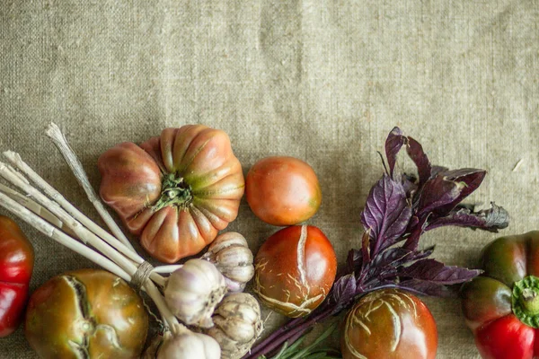 Vegetables on a sackcloth with a copy space at the top — Stock Photo, Image