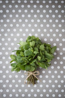 Bir demet taze nane.