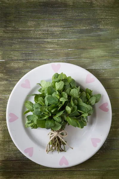 Manojo de menta fresca en un plato — Foto de Stock