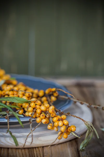 Buckthorn plate — Stock Photo, Image