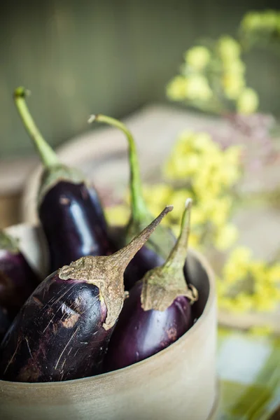 Ripe eggplants — Stock Photo, Image