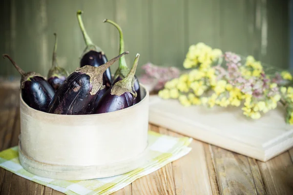 Selected ripe eggplants to cook — Stock Photo, Image