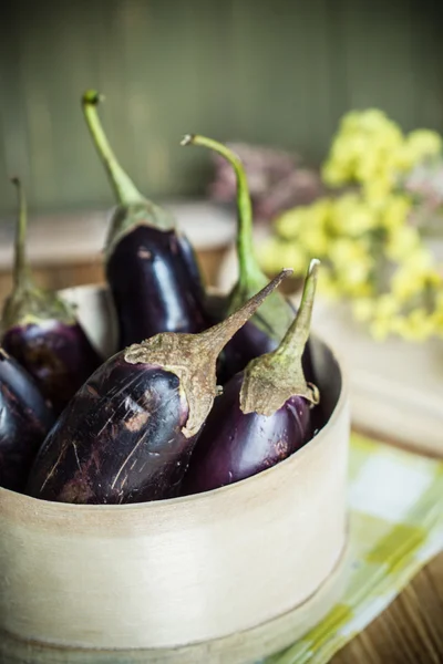 Ripe eggplants — Stock Photo, Image