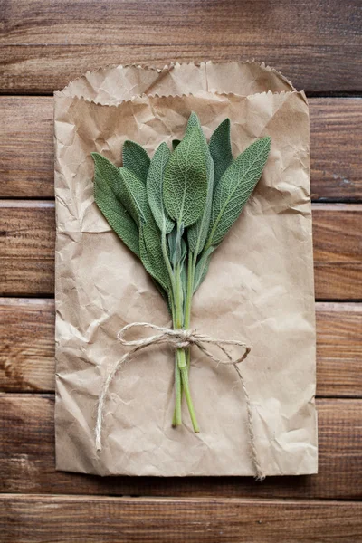 Hojas de salvia — Foto de Stock