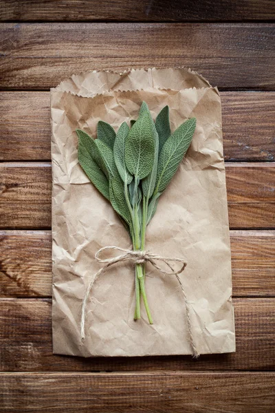 Sage leaves — Stock Photo, Image