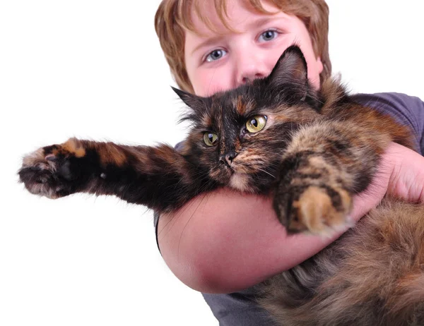 Lindo chico rubio con un gato, se centran en el gato —  Fotos de Stock