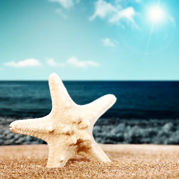 Летний пляж, морская звезда и море — стоковое фото