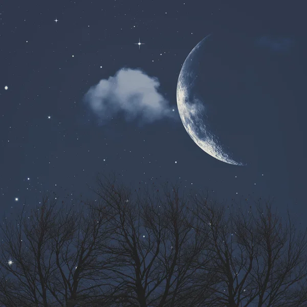 Under Moon light — Stock Photo, Image