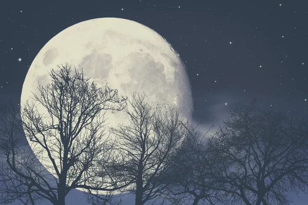 Under månens ljus, abstrakt fantasy — Stockfoto