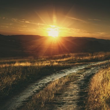 köy yolunda altın tepeler arasında