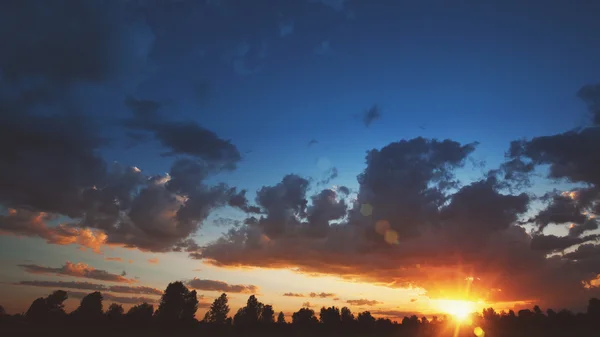 Tramonto sulle sagome degli alberi — Foto Stock