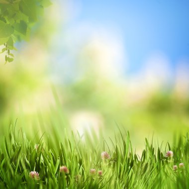 Güzel çayır arka plan