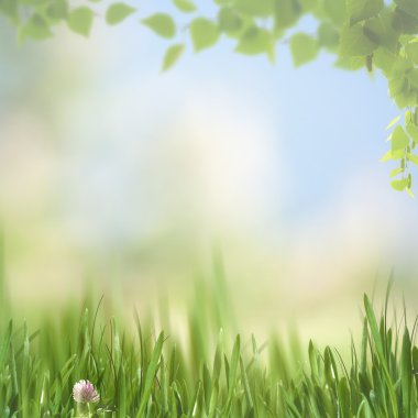 Güzel çayır arka plan